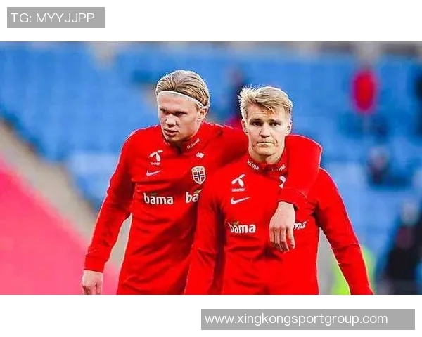 欧洲世预赛机会创造统计厄德高领衔托纳利丁丁紧随其后 欧洲世预赛机会创造统计厄德高领衔托纳利丁丁紧随其后